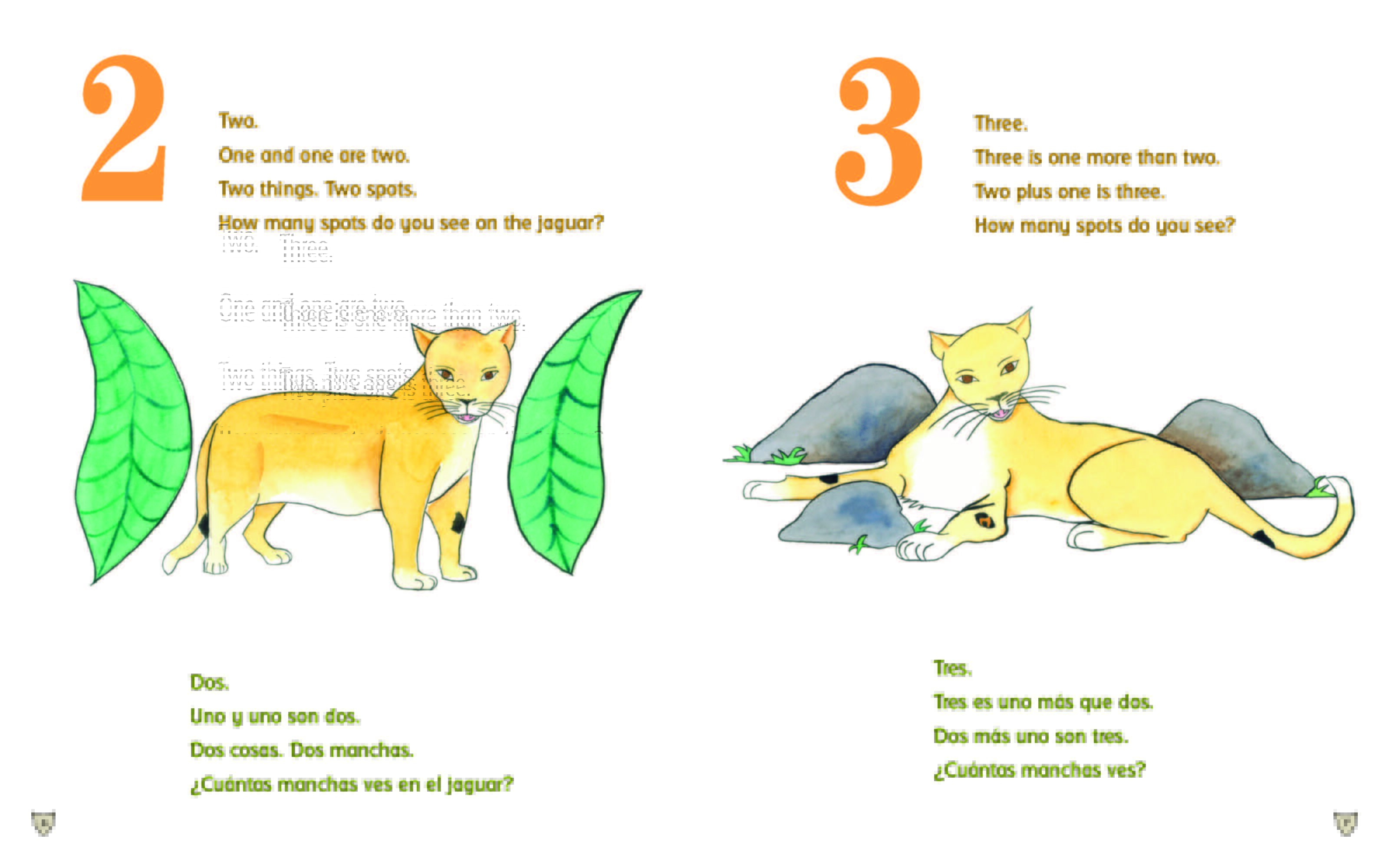 Las Manchas En El Jaguar Bilingual Children's Books in Spanish
