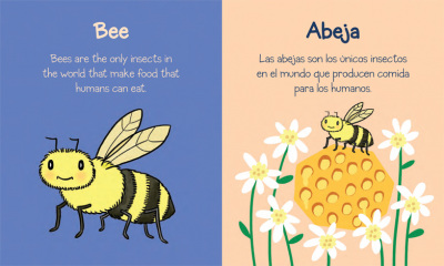 Books For Hispanic Spanish Speaking Parents