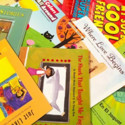 Multicultural Dual Language Preschool Books Lending Library