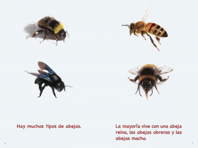 Spanish nonfiction books about bees